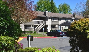 Silver Oak Image 2
