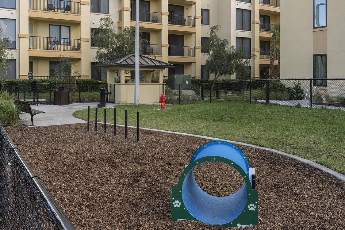 Dwell at Maitland Image 8