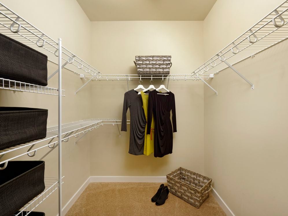 Spacious, walk-in closet