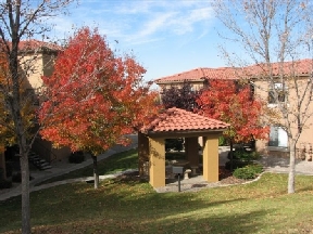 La Paloma Image 2