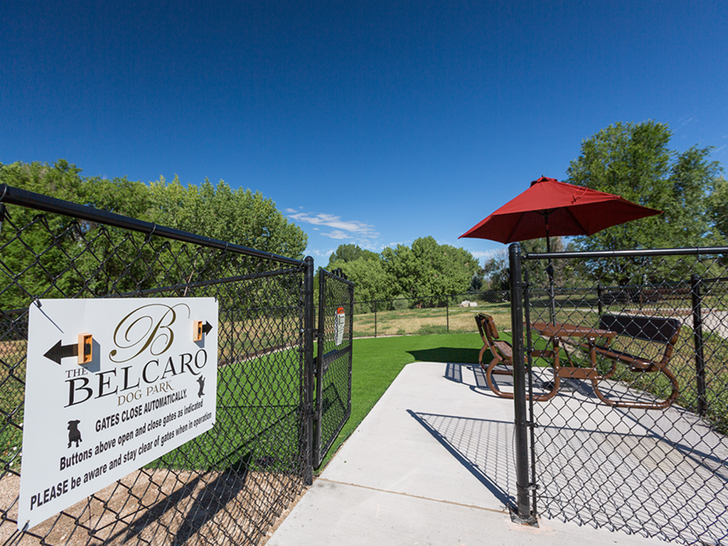 The Belcaro  Image 8