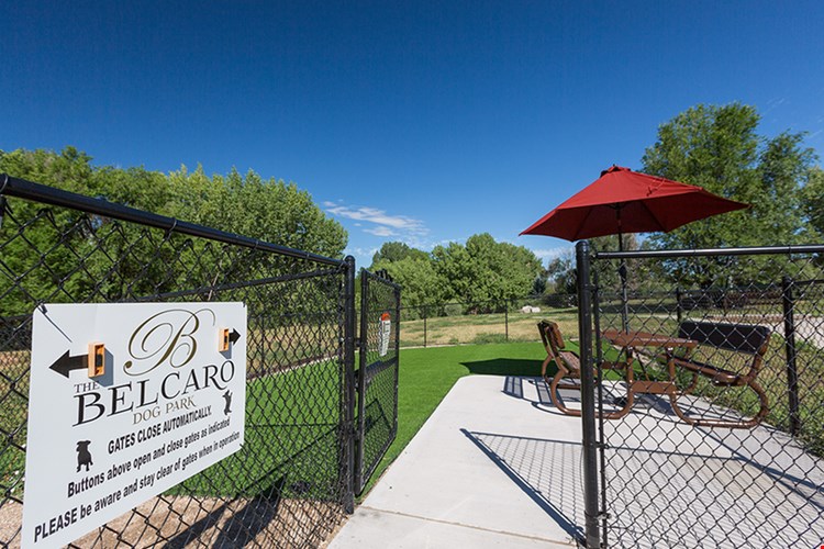 The Belcaro  Image 8