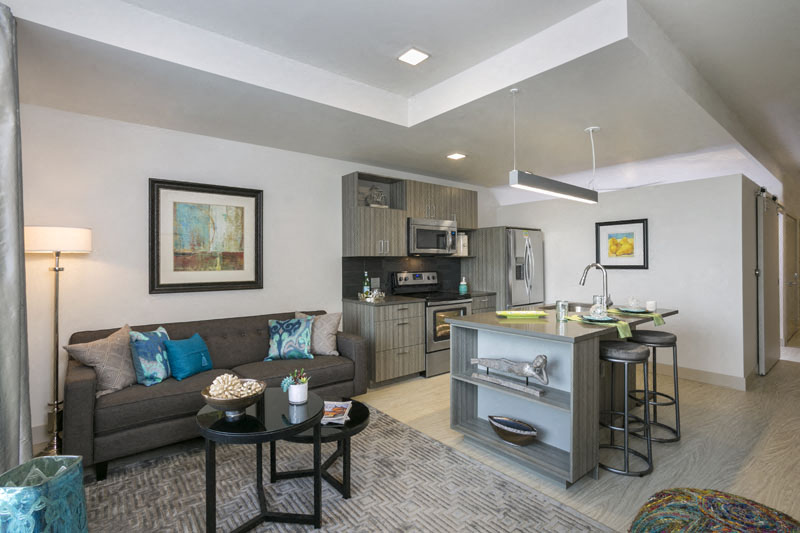 7/S Denver Haus Image 10