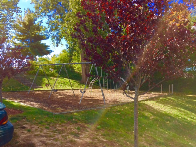 Landmark Apartments Image 5