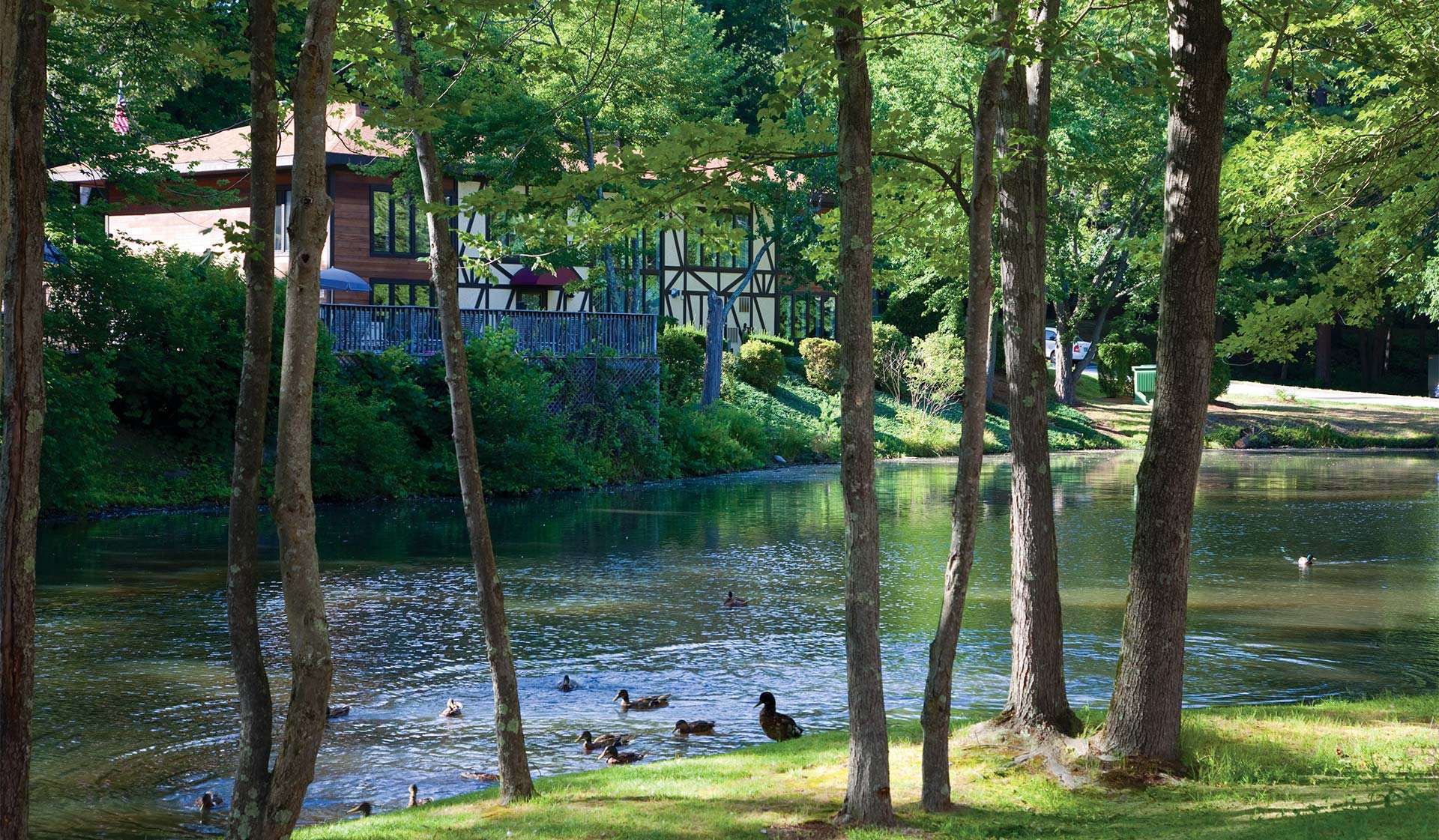 Fish in our pond set amid 88 wooded acres