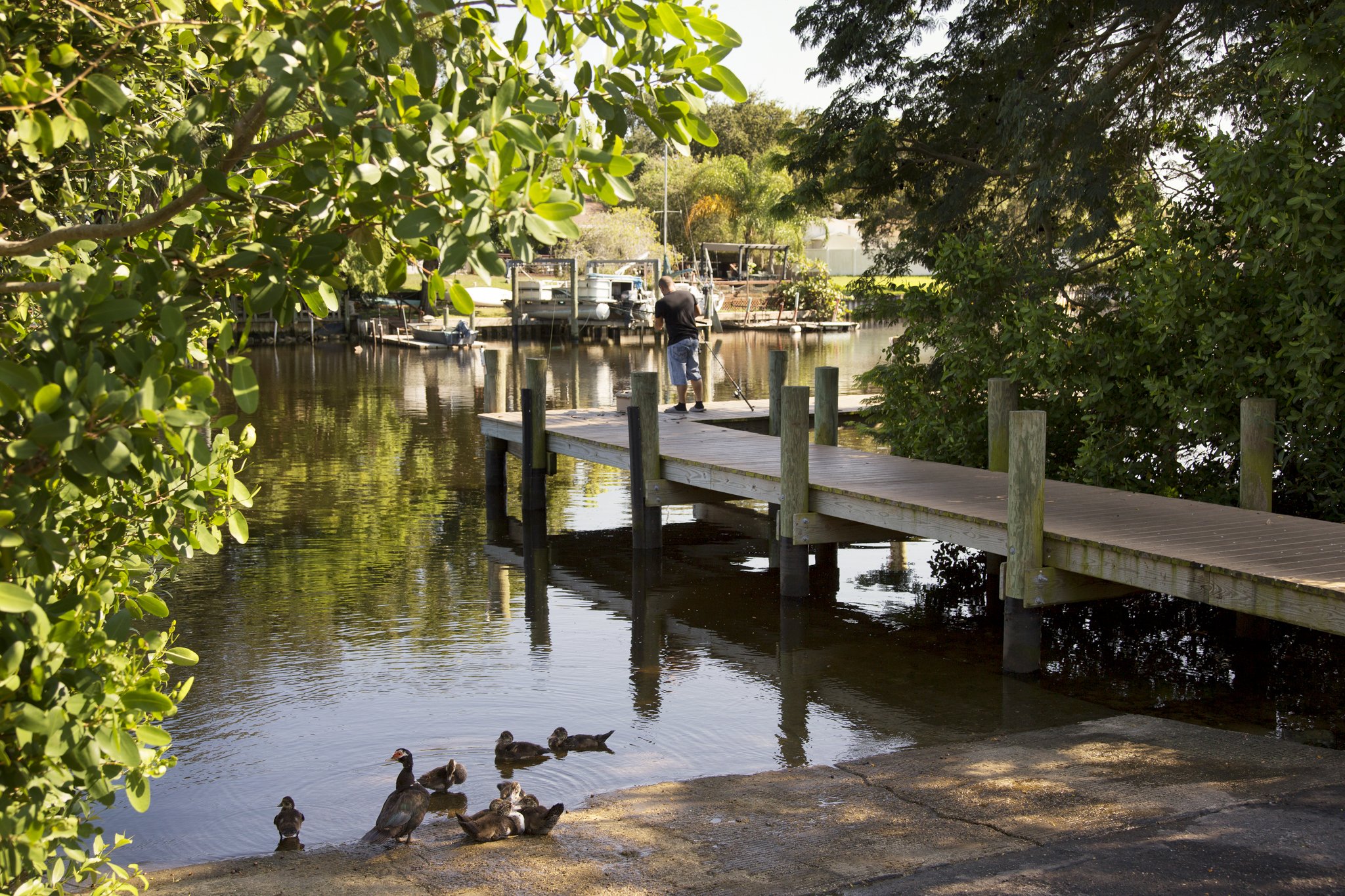 Camden Bay Image 28