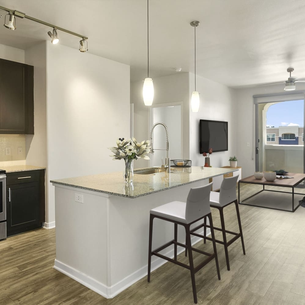 Luxe Scottsdale Image 7