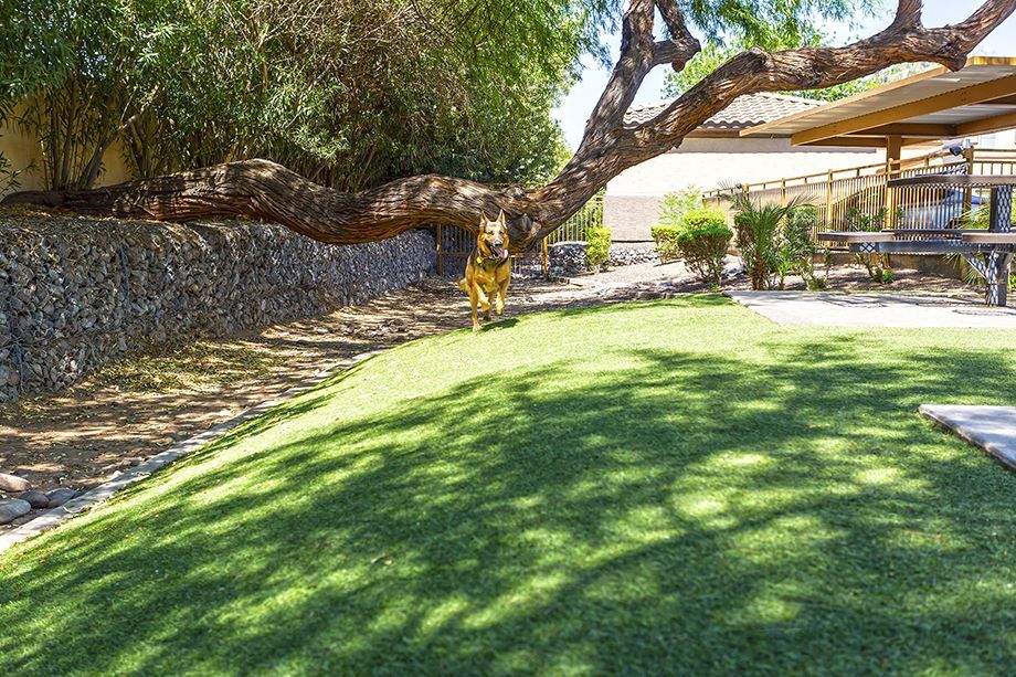 Camden Legacy Image 30