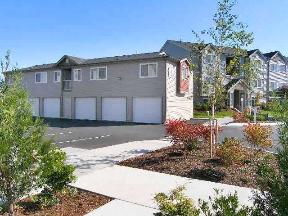 Tarmigan at Wapato Creek Image 2