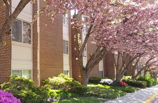 Landmark at Glenmont Station Image 2