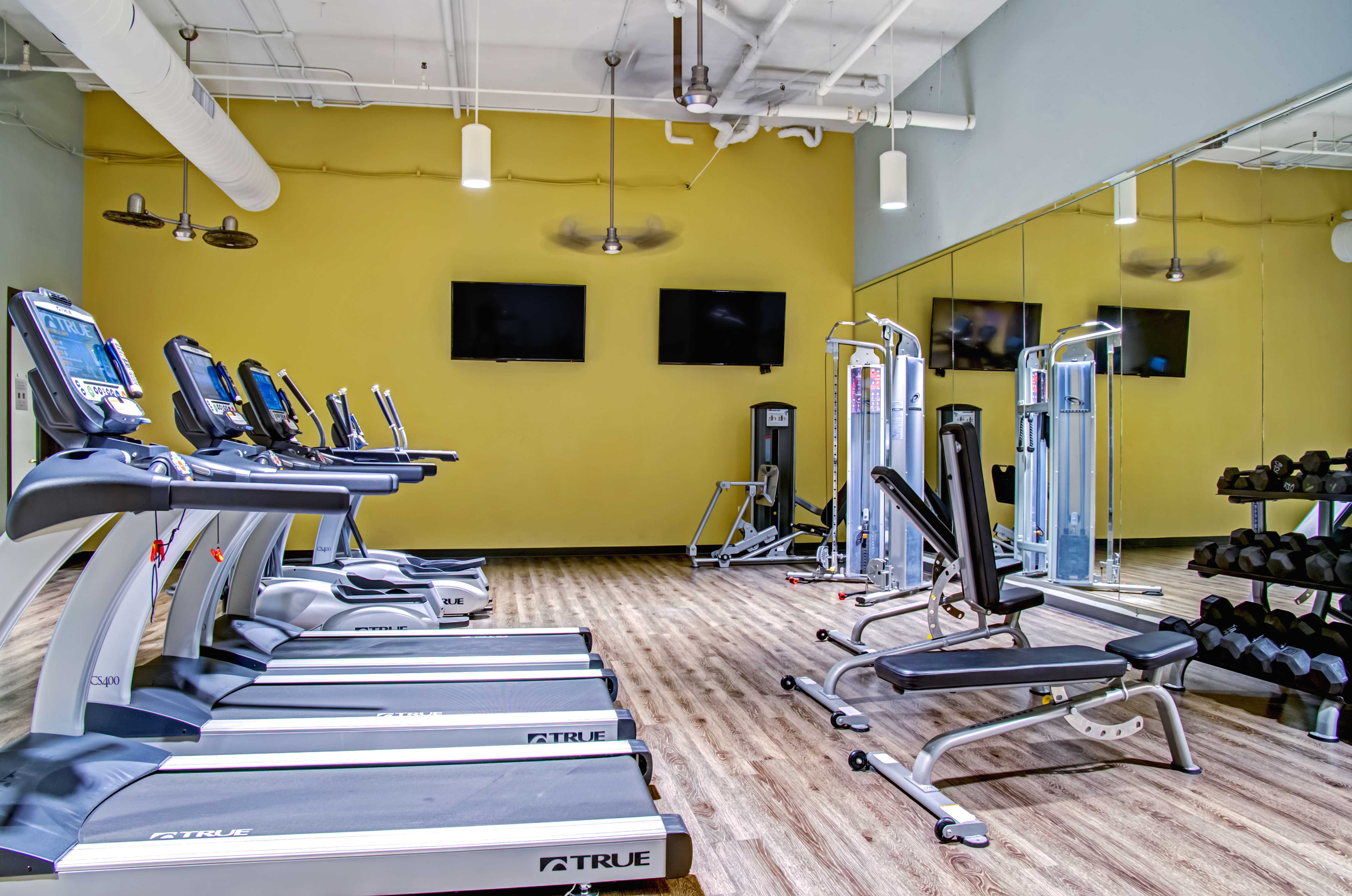 Cumberland on Church Apartments Image 19