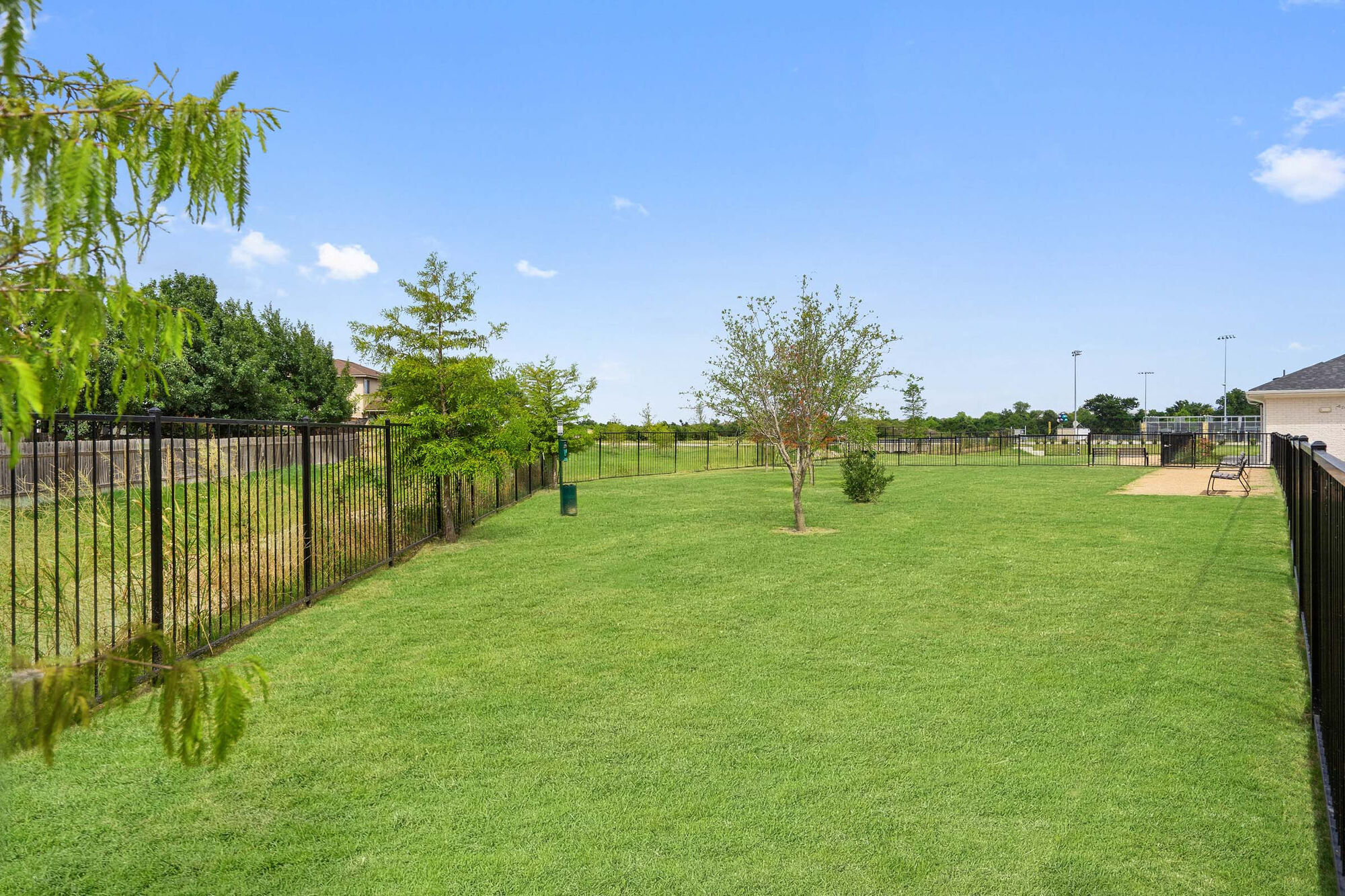 Camden Leander Image 44