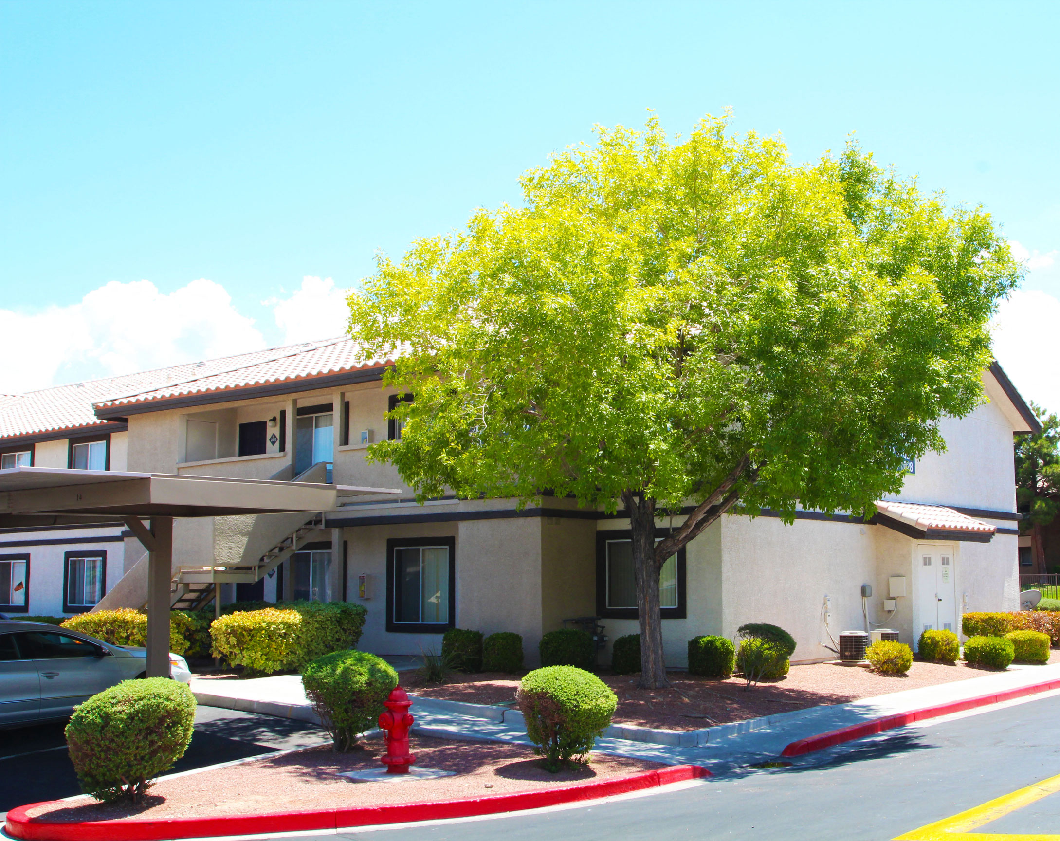 Vida Las Vegas Image 20