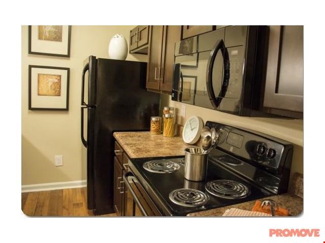 Apartments at Willeo Creek at Roswell - Roswell