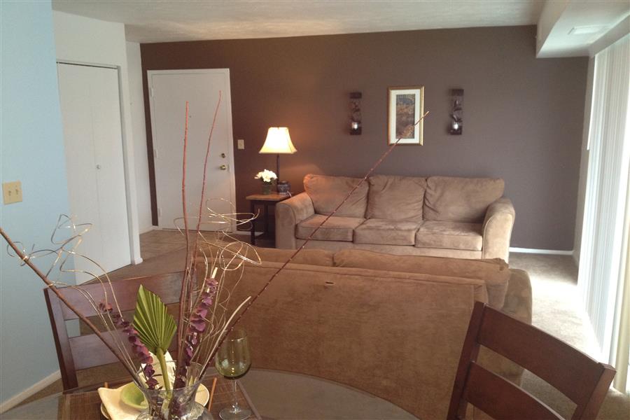 Terrace Creek Image 3