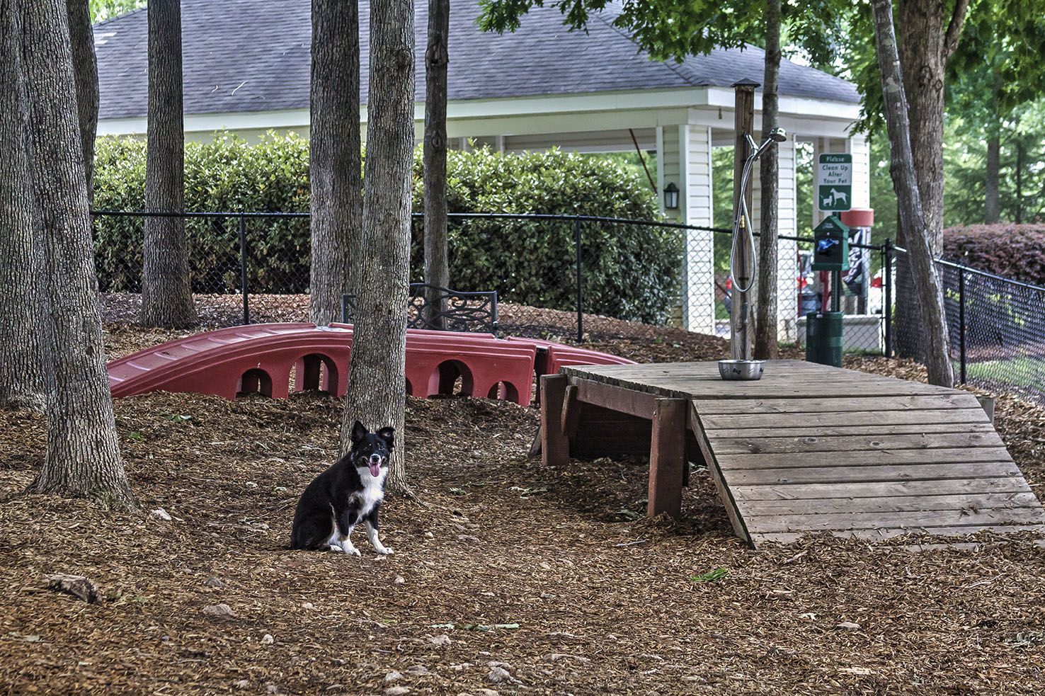 Camden Crest Image 37