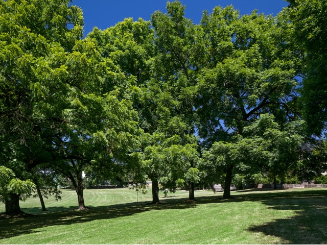 Timberhill Meadows Apartments Image 21