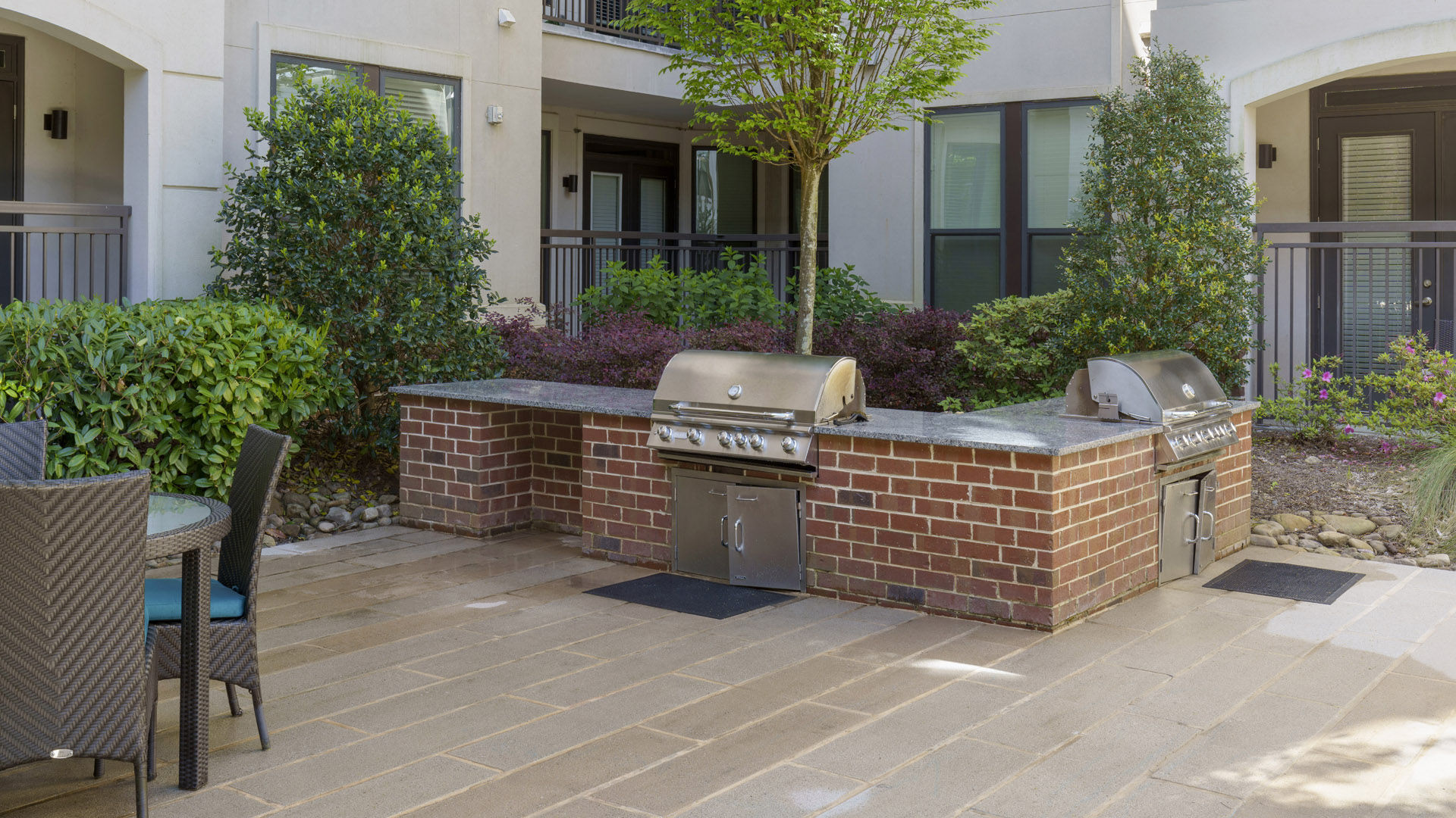 The Collection Image 11