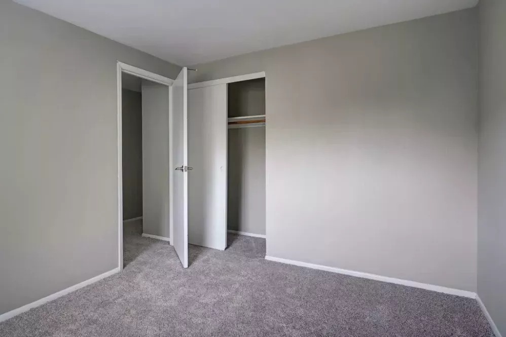 Janet Circle Image 8