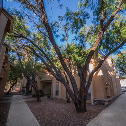 The Hills At North Mesa Image 3