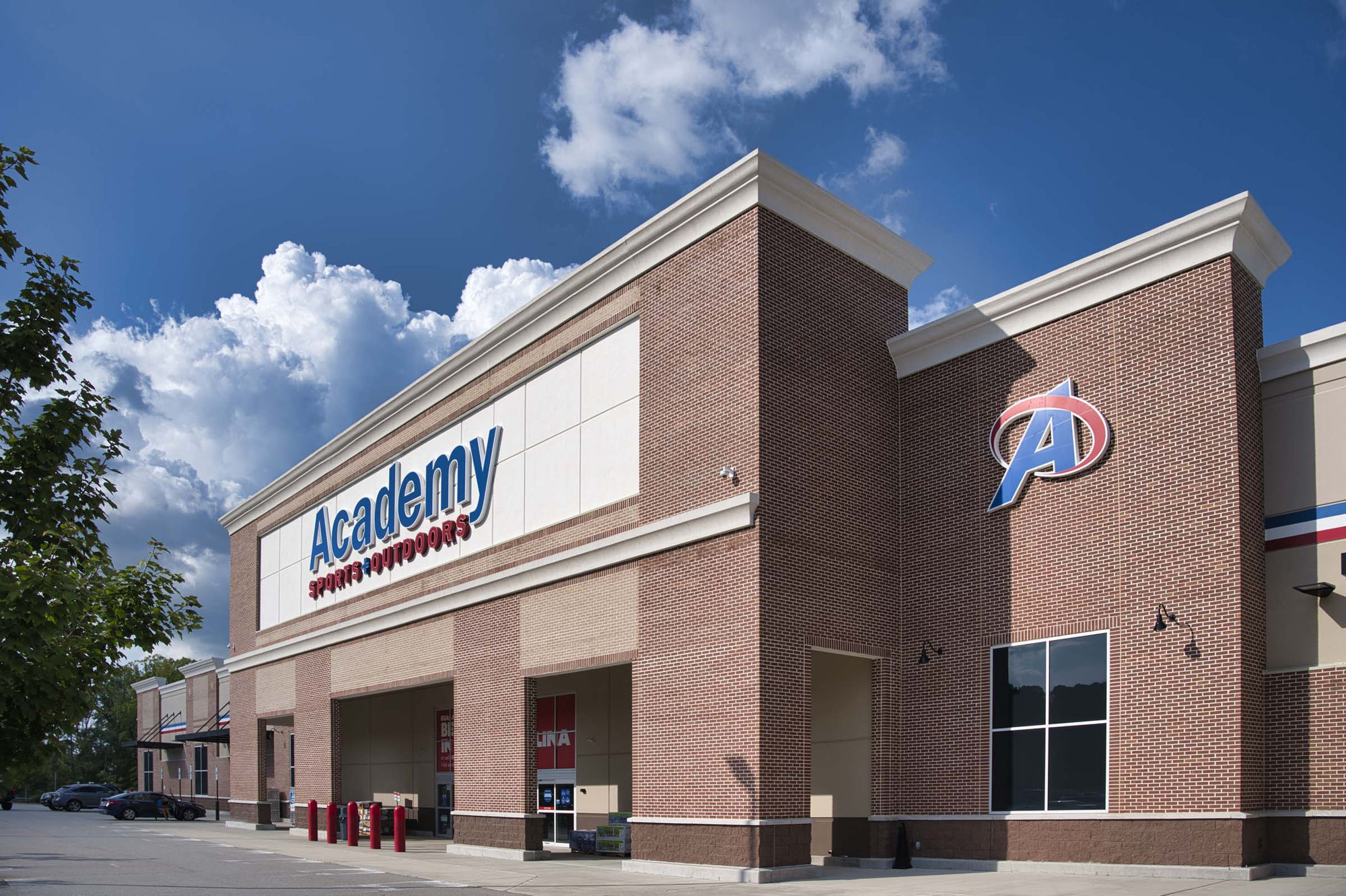 Camden Lake Pine Image 44