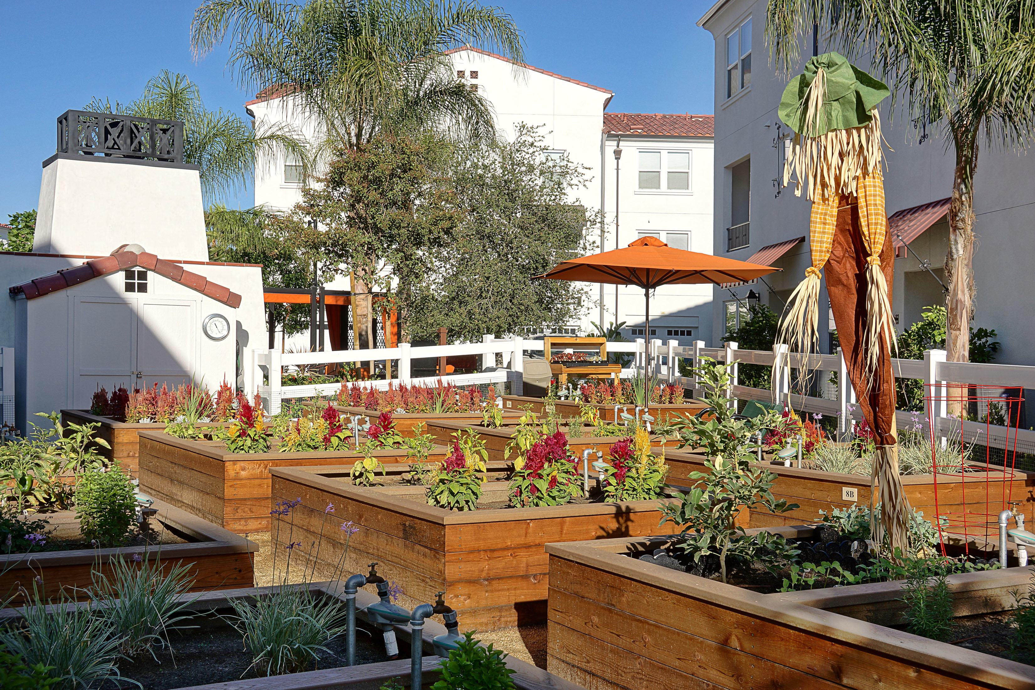 Santa Barbara At Rancho Cucamonga Image 13