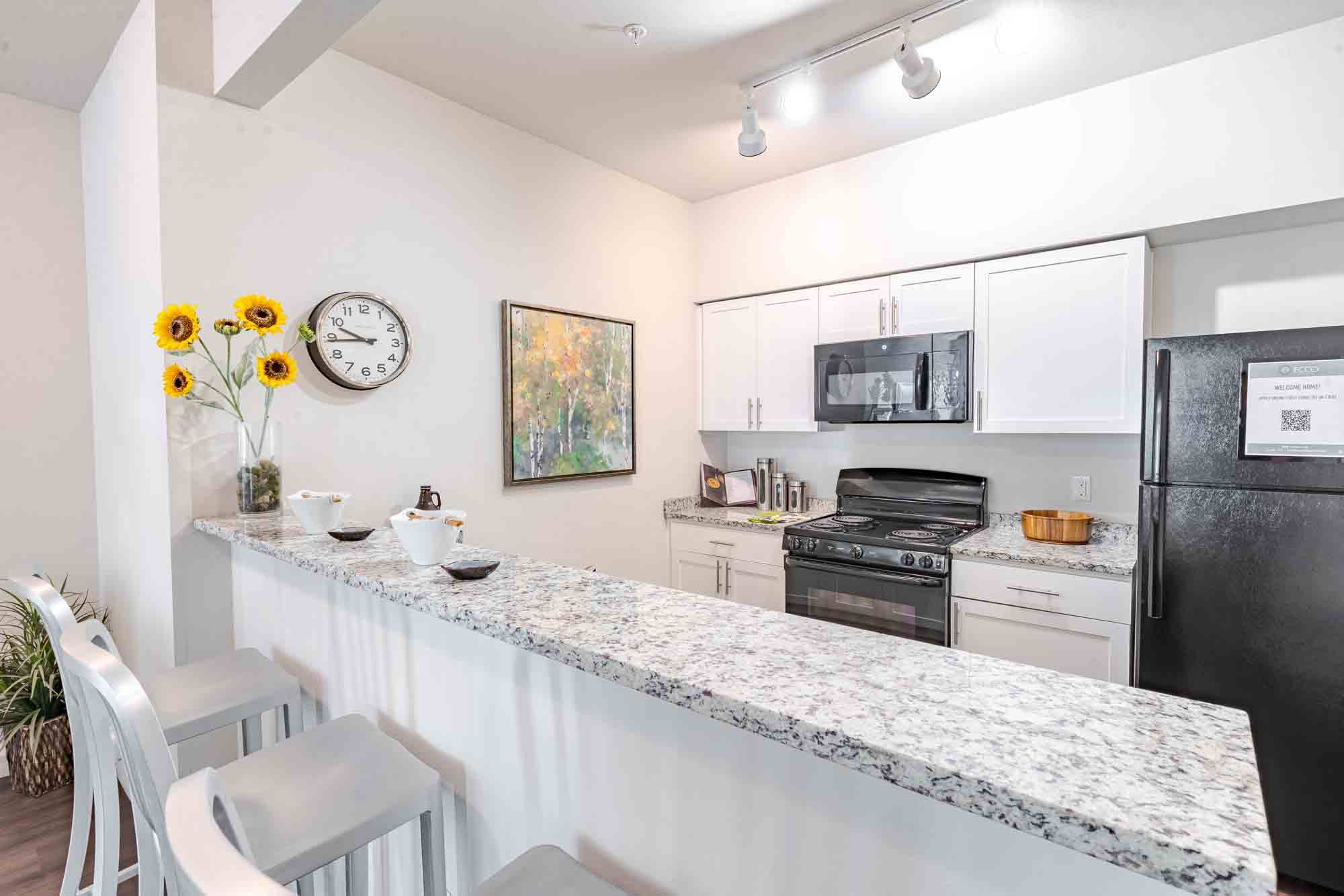 Ecco Apartments Image 5