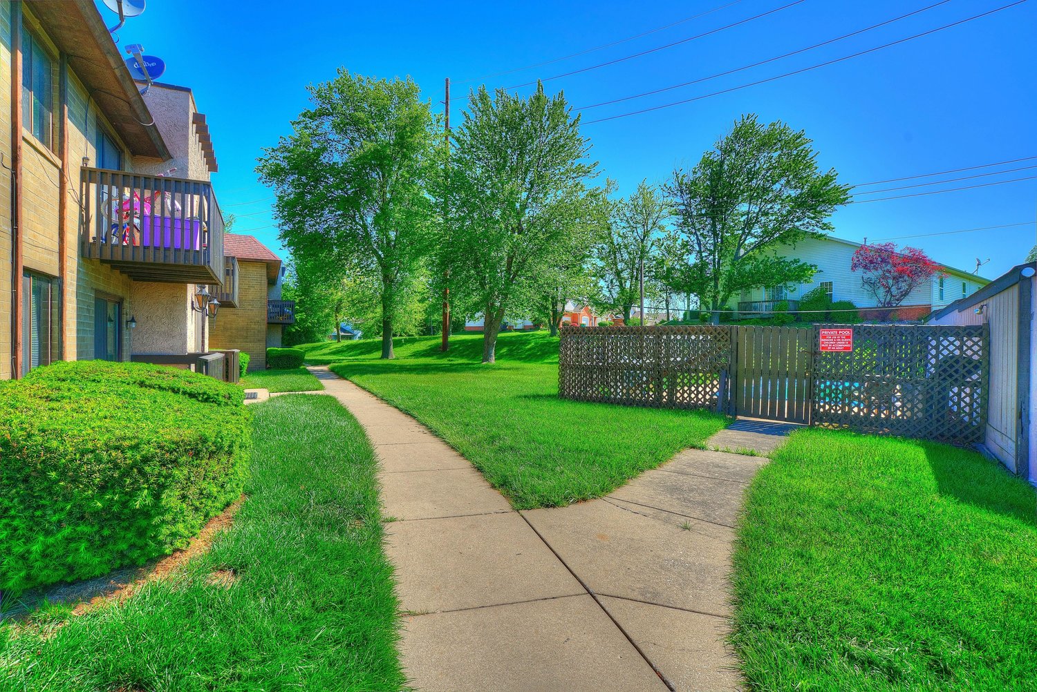 Storyboard on Sugar Pine Image 5