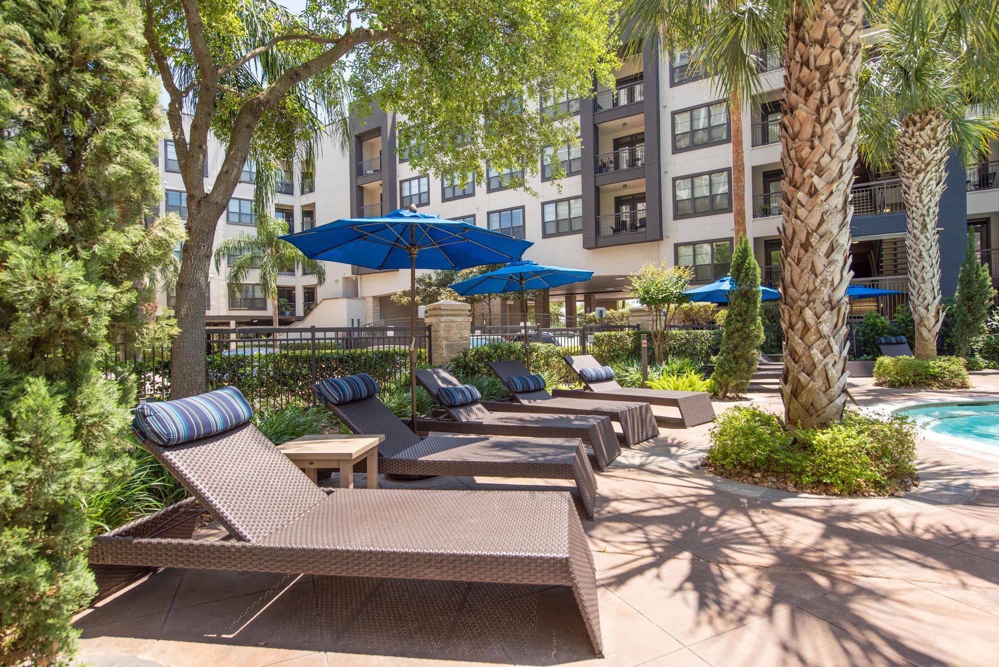 Cortland Halstead Image 20