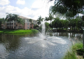 The Grove at Turtle Run Image 1