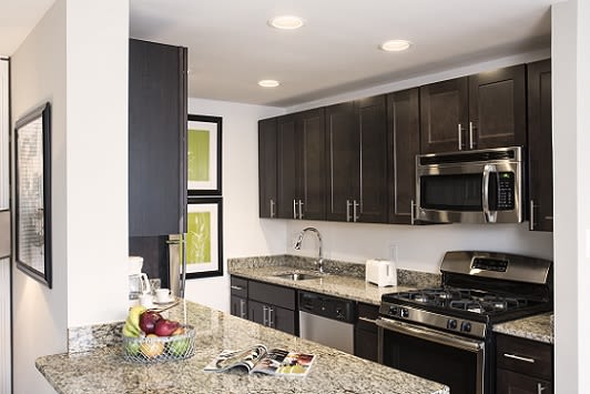 The Horizons Image 9