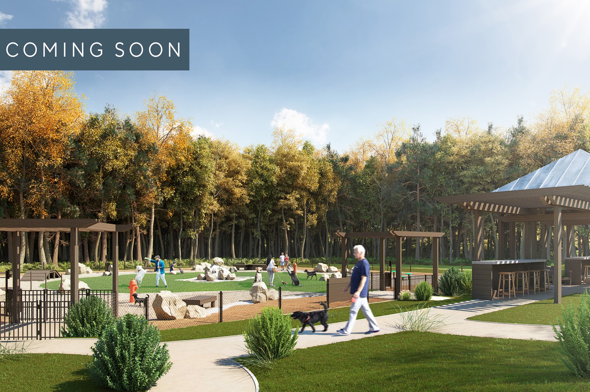 Cortland Duluth Image 16