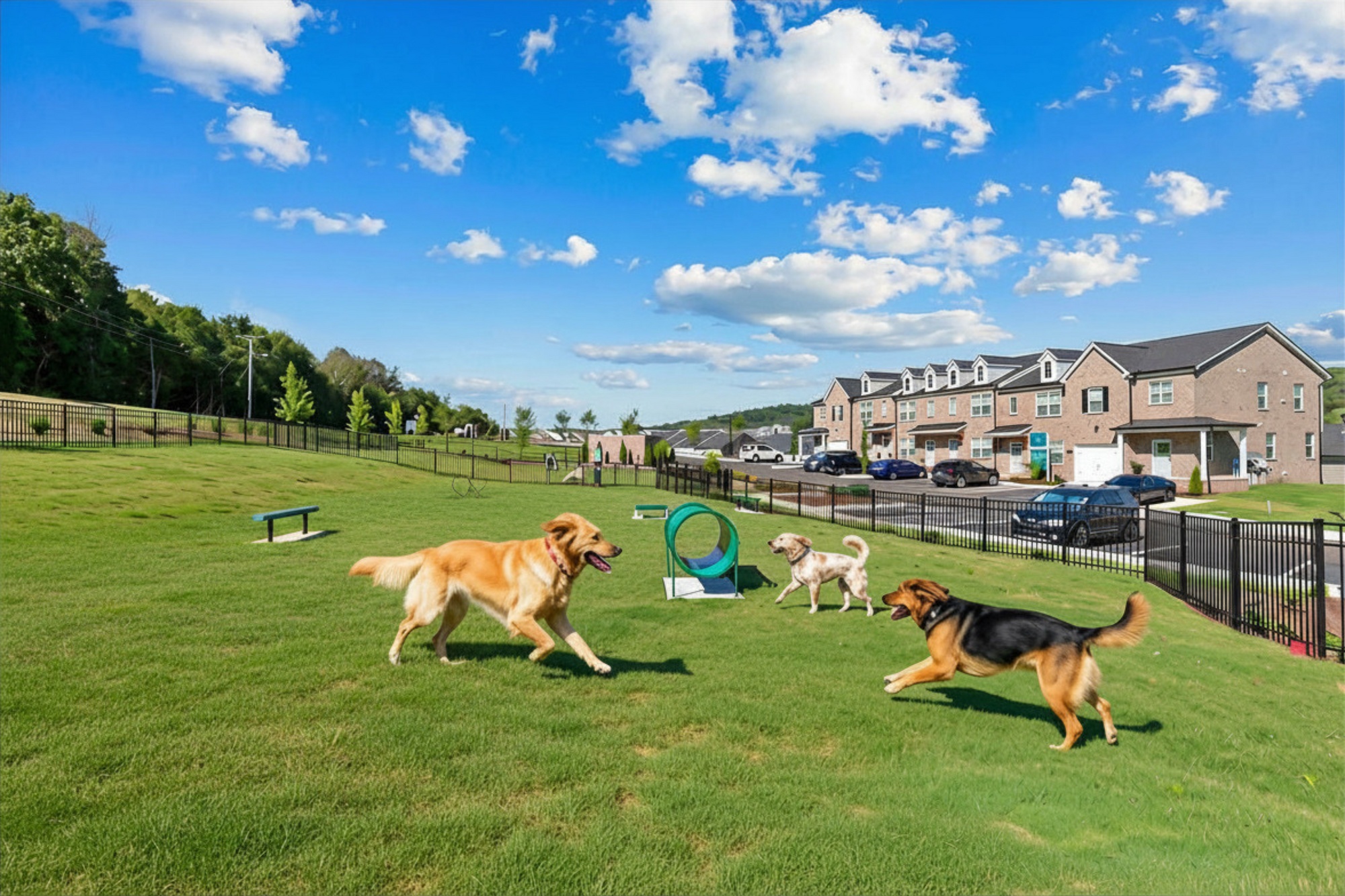 Blakeney Commons Townhomes Image 1