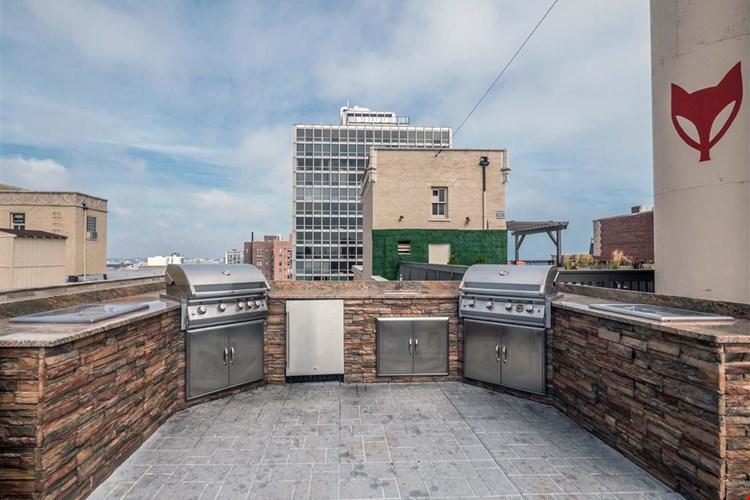 The Patricians Image 10