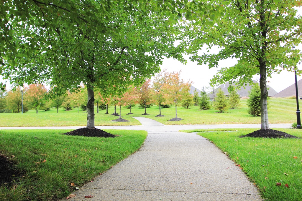 Bishops Gate Image 65