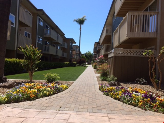 Park Plaza Apartments Image 4