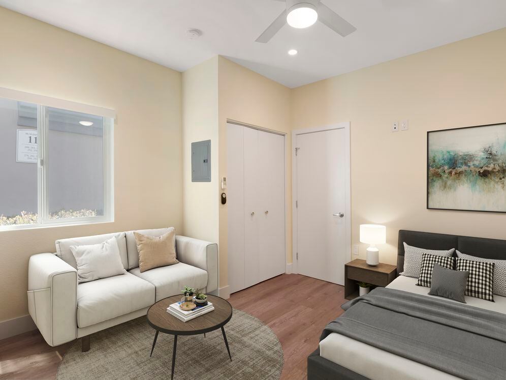 Studio apartment home bedroom and living room