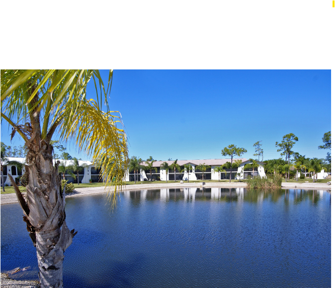 Coral Waters Image 2