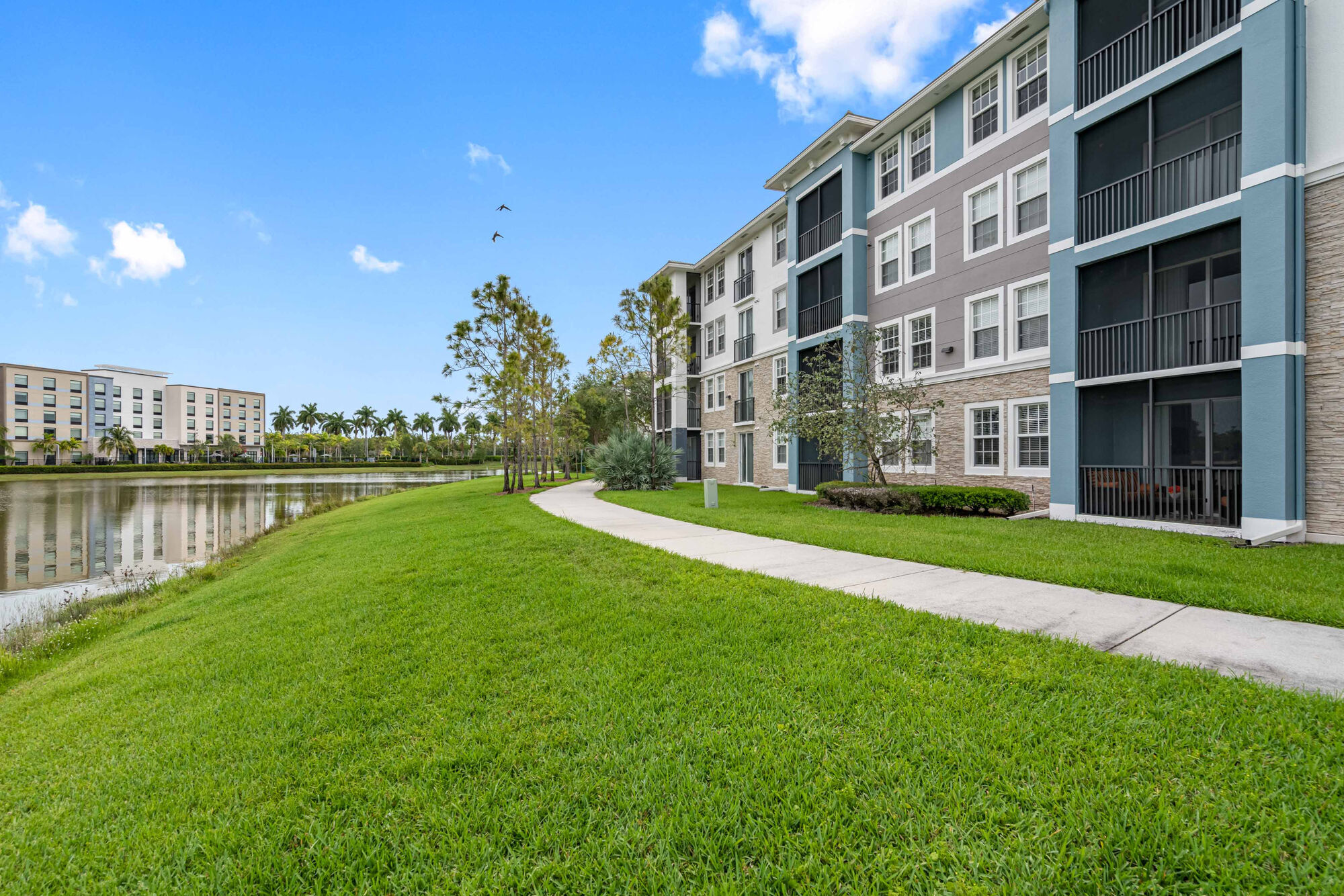 Axis Wellington Green Image 37