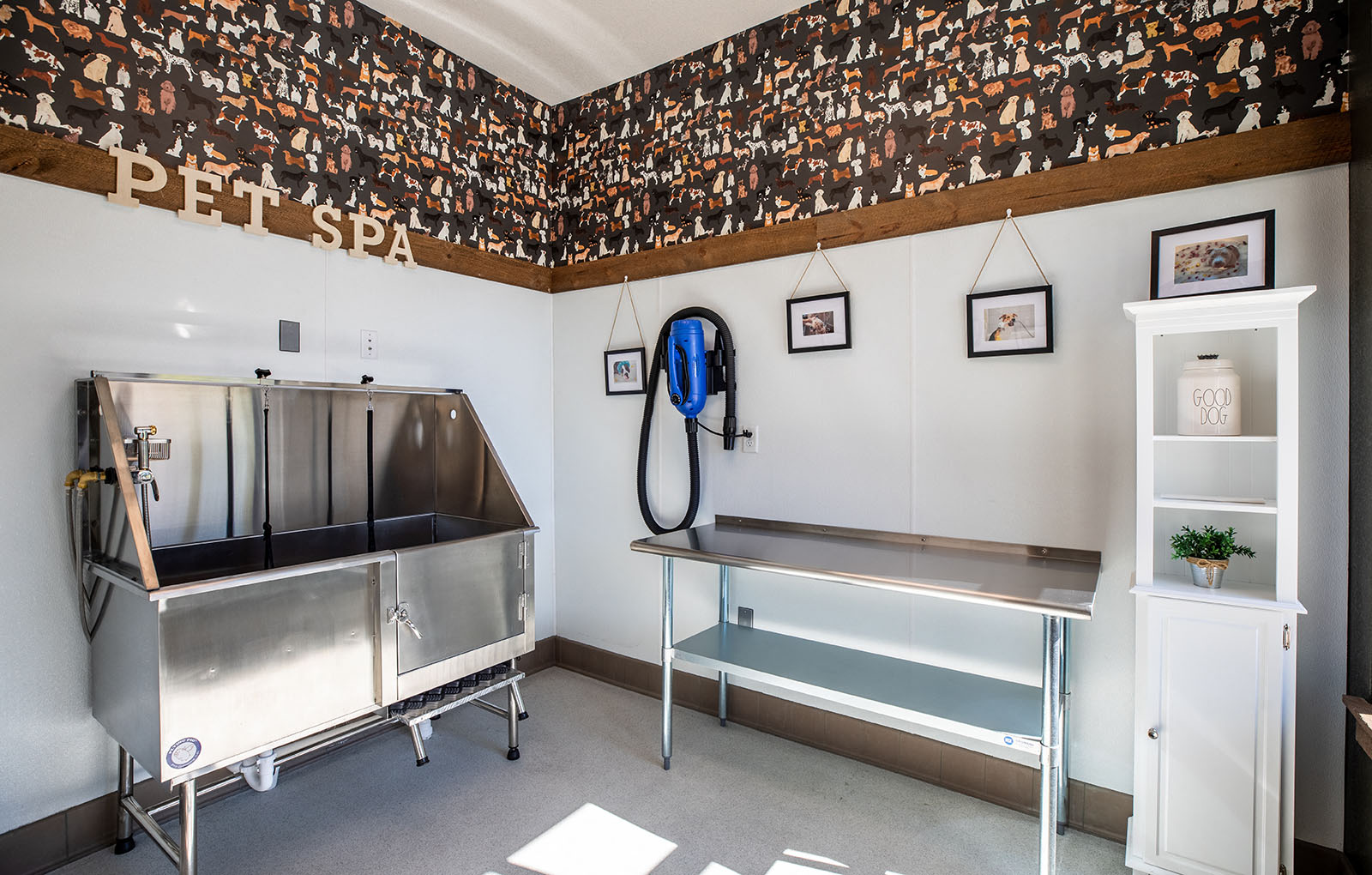 Bucking Horse Apartments Image 22