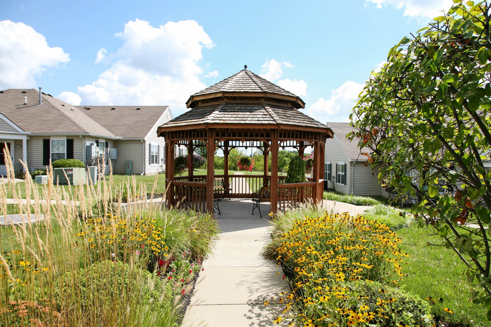 Orchard at Shiloh II Image 3