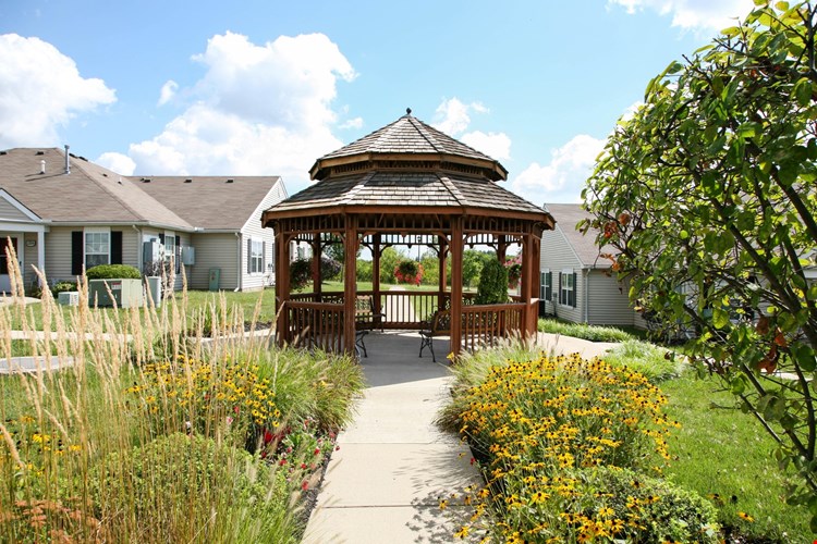 Orchard at Shiloh II Image 3