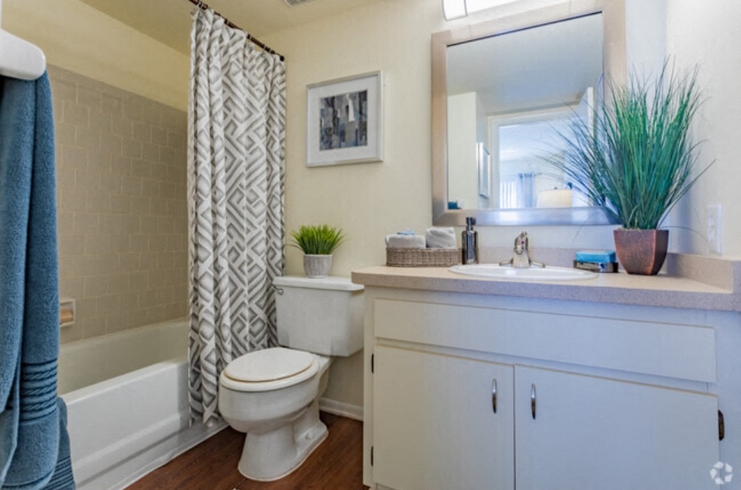 Bay Club Apartment Homes Image 8