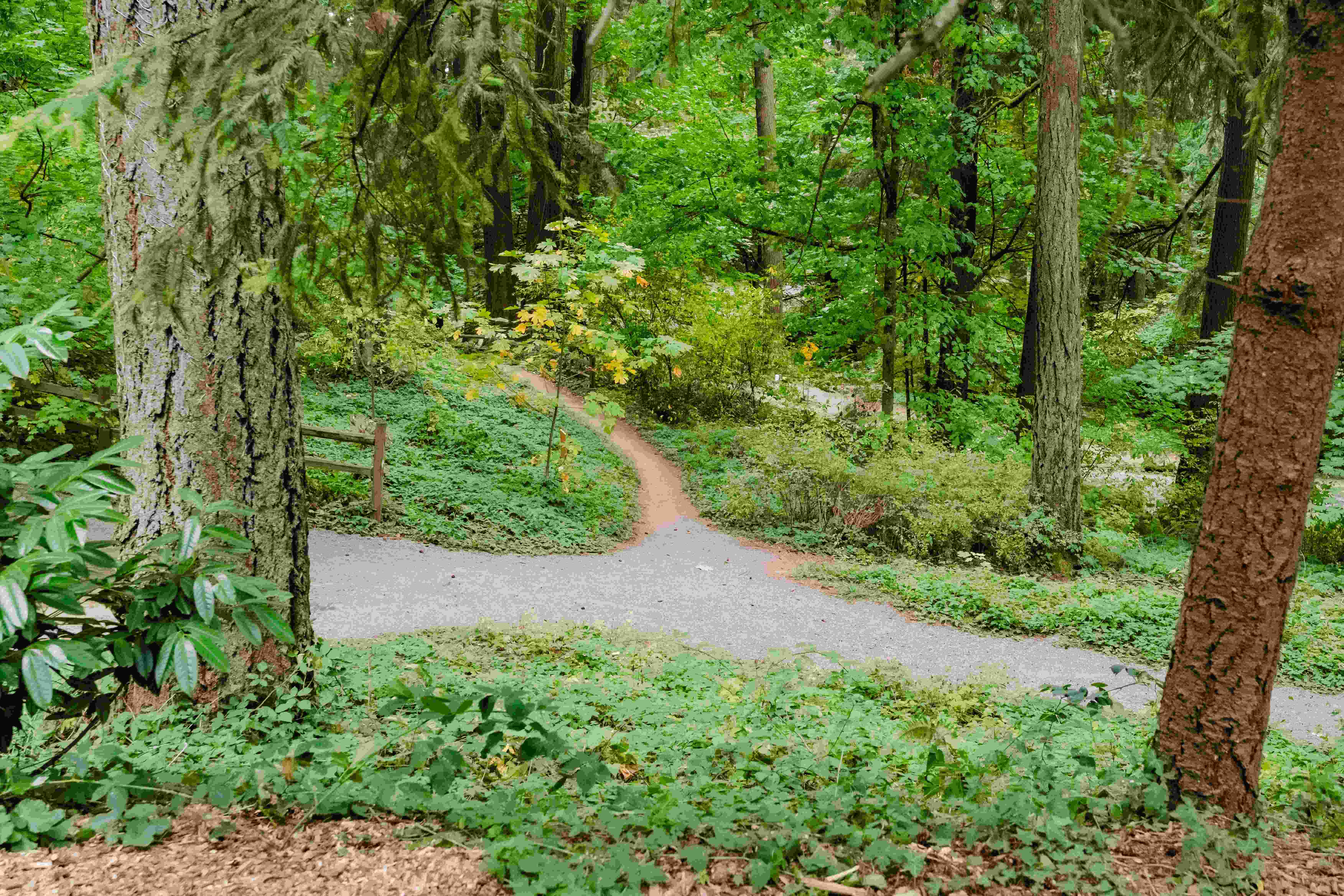 Mt. Tabor Park | Buckman Neighborhood
