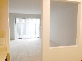 Amber House South Apartments Image 3