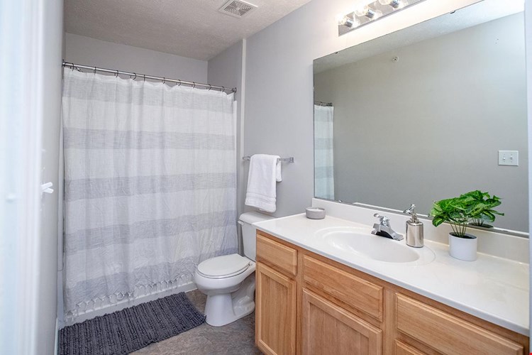 Bathrooms featuring wood-style flooring and large vanities.