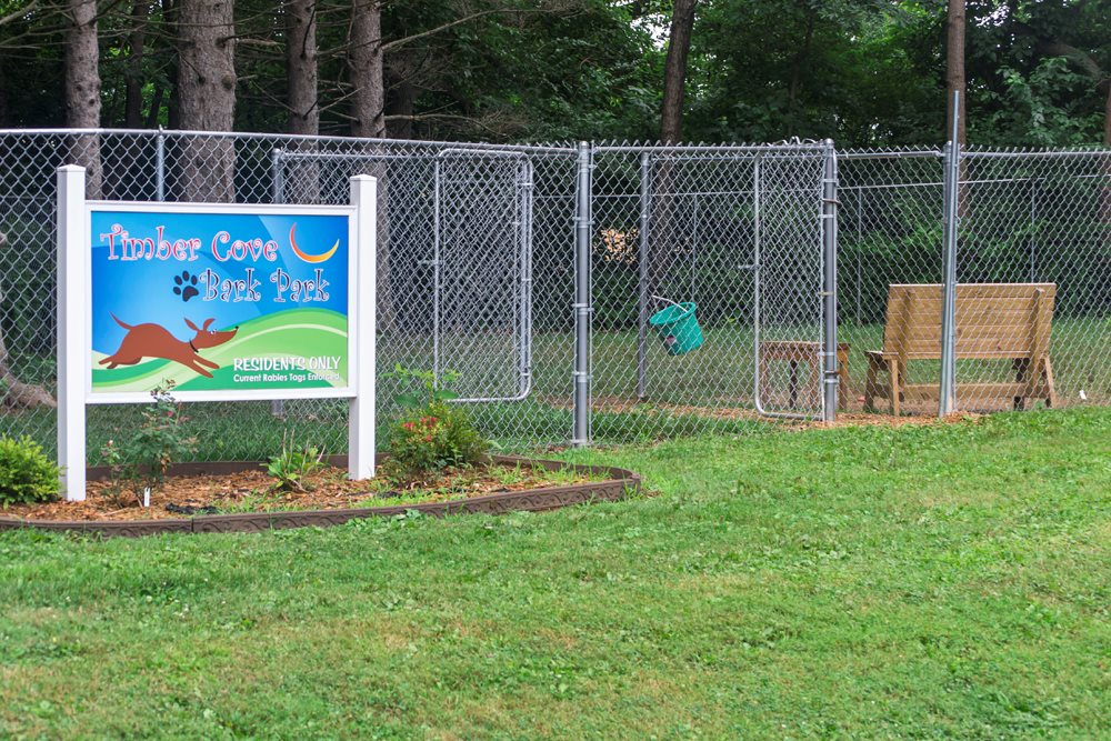 Timber Cove Image 4