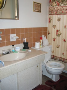 The Freelander Image 4