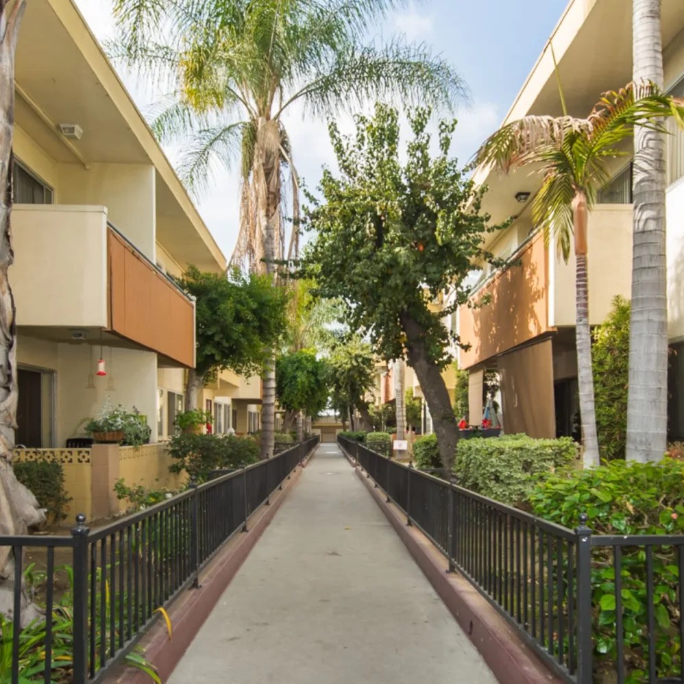 Las Palmas Apartments Image 3