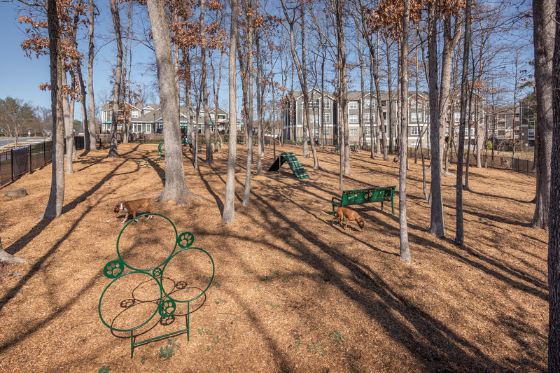 Ashton Reserve At Northlake Image 14